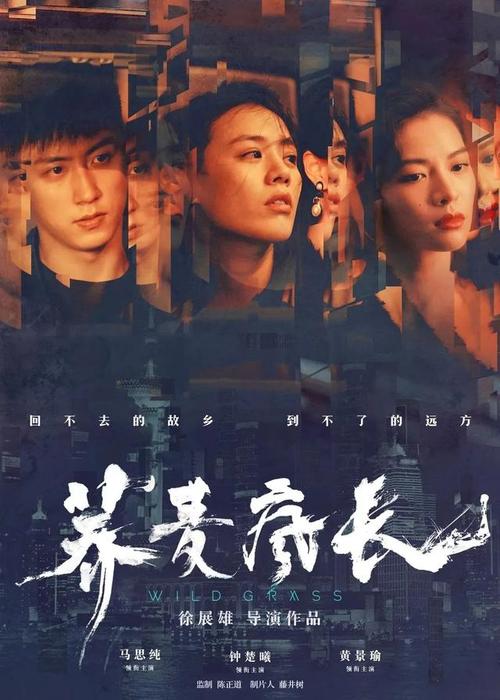 乌尔比诺大学会计文凭证书